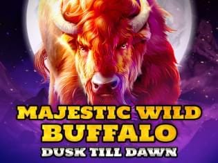 Majestic Wild Buffalo - Dusk Till Dawn thumbnail