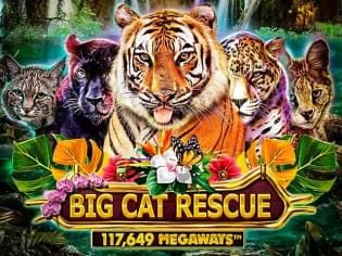 Big Cat Rescue Megaways thumbnail